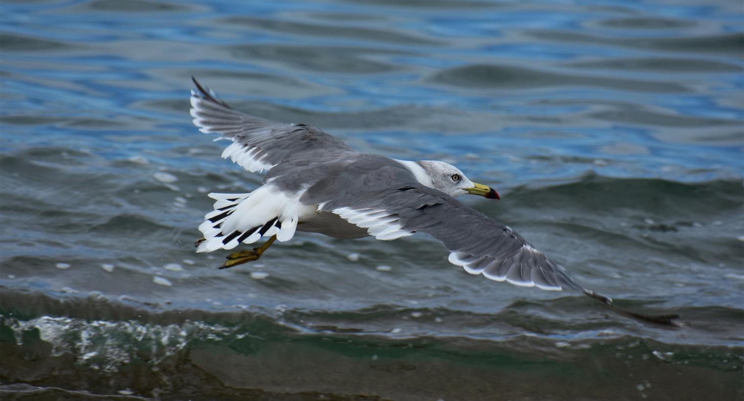 Über Hannes Lindemann